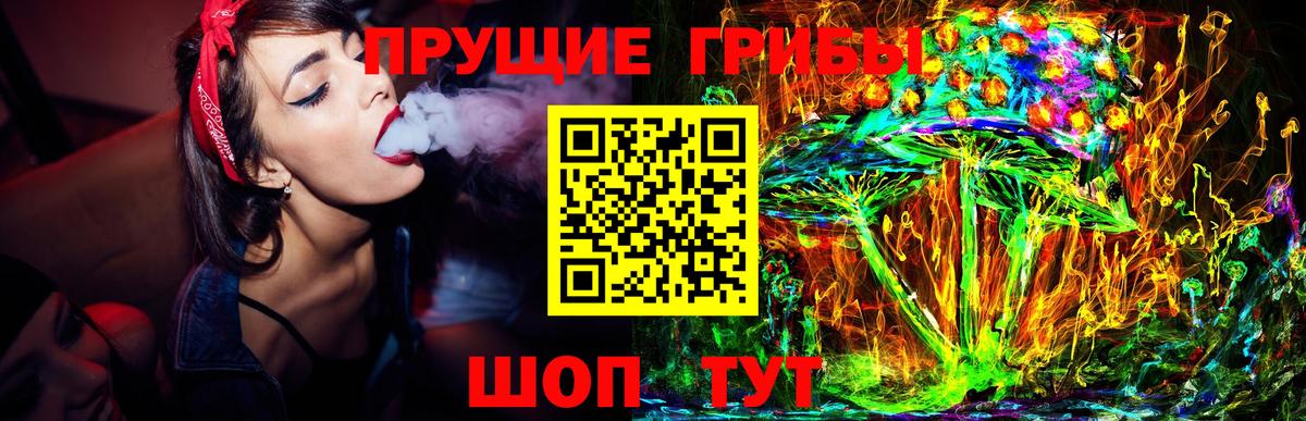 Галлюциногенные грибы Magic Shrooms  где купить   Ногинск  Вход с VPN 