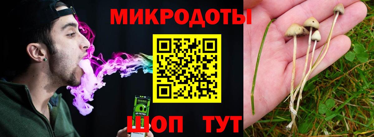 A-PVP Ногинск